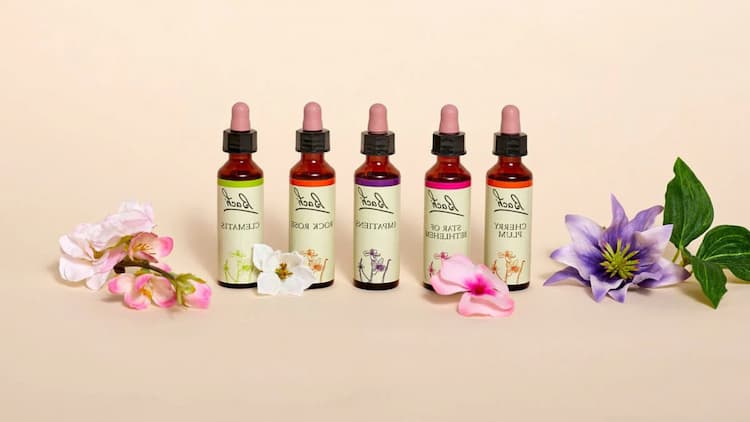 Bach Flowers